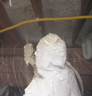 Waterloo ON crawl space insulation